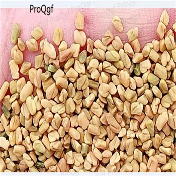 

10000Pcs A Set Trigonella foenum-graecum