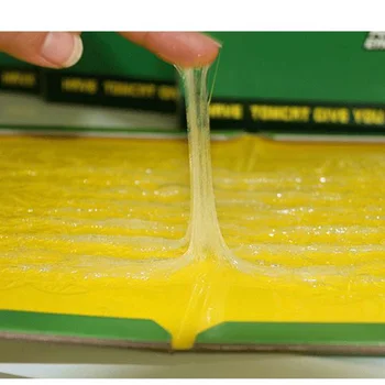 

Economical Mouse Rat Mice Sticky Traps Board Trapper Glue Catcher Non-toxic For Kitchen Home ds99