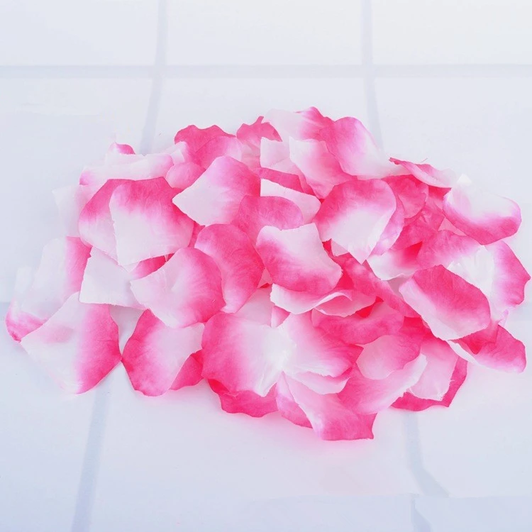 HTB1KL7yMpXXXXb1XXXXq6xXFXXXt