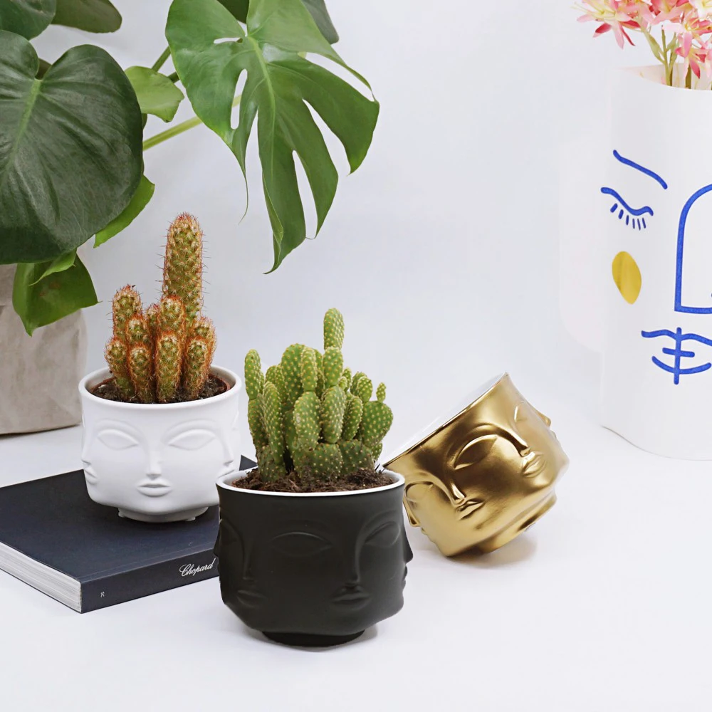 

Nordic Man Face Ceramic Small Vase Flower Pot Succulents Orchid Indoor Planter Home Decor Creative Container Holder Cachepot