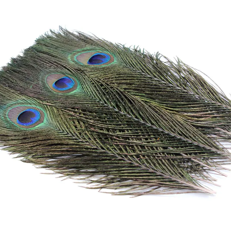 

20pcs Real Peacock Feather Earrings necklace clothing hat wedding party family wreath decorates material 10 - 12inch