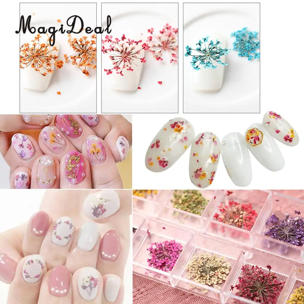 12Pcs Real Pressed Leaves Dried Flower Dianthus Flowers Embellishments DIY Materials Card Making Scrapbooking Art Crafts Jewelry