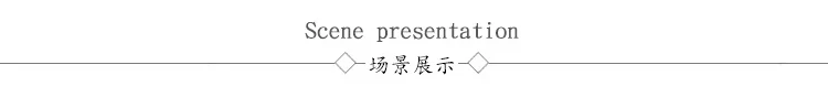 secene presentation