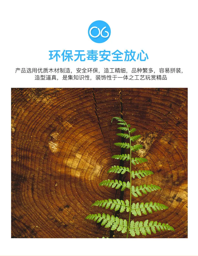 伊萨基辅_09.jpg
