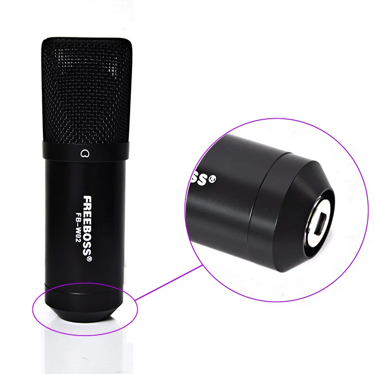 FB-W02  12  Wired Microphone