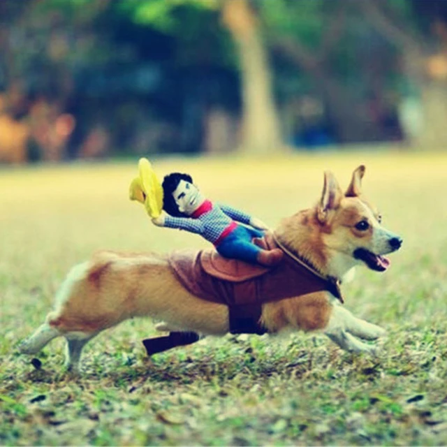 Gomaomi Pet Dog Costume Pet Suit Cowboy Rider Style Clothes 2