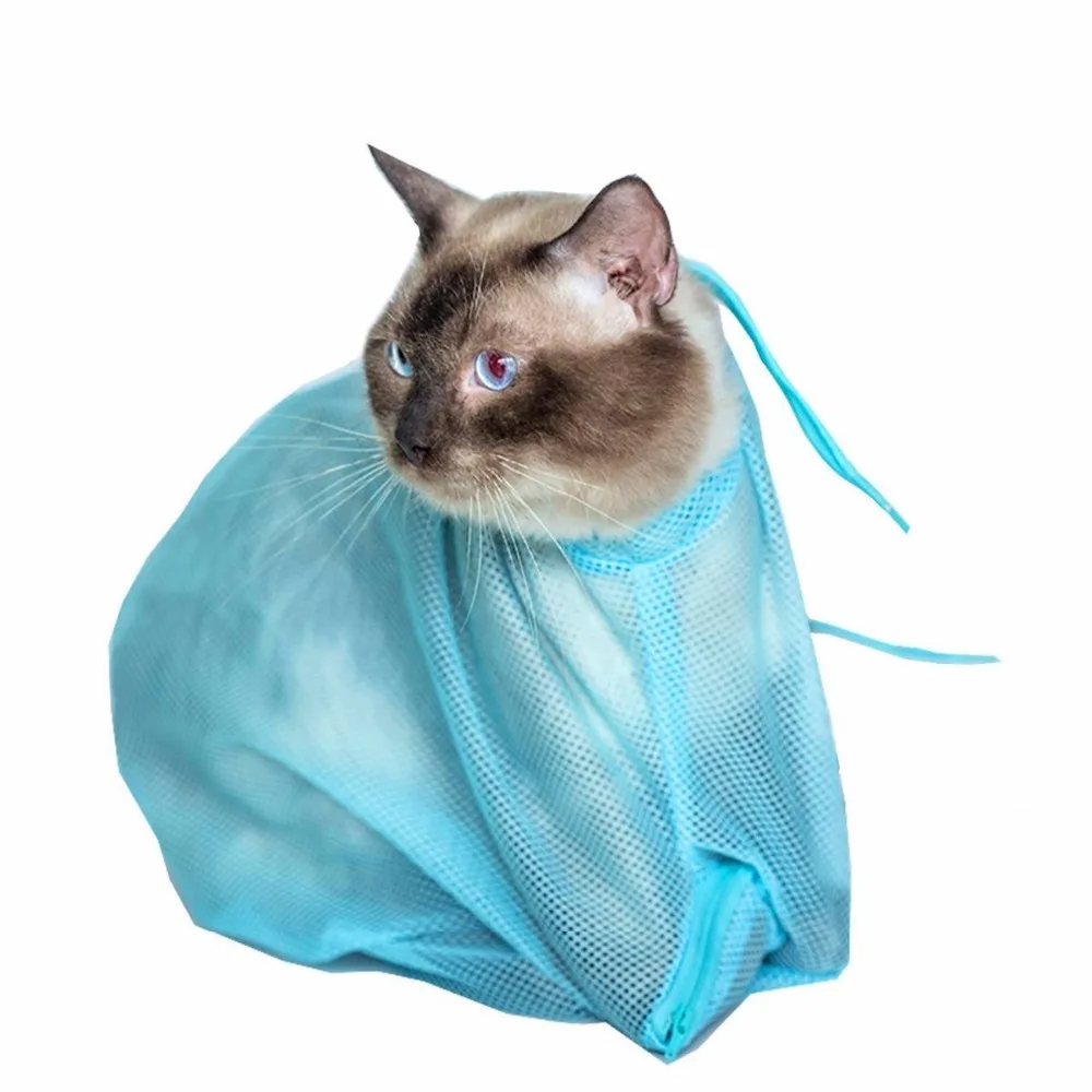 61TyBZGyyHL._SL1200_