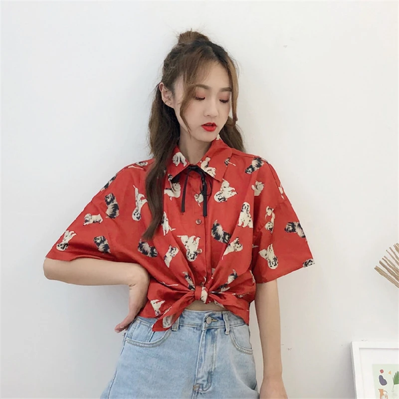 TB29YMBp5OYBuNjSsD4XXbSkFXa_!!2410958419