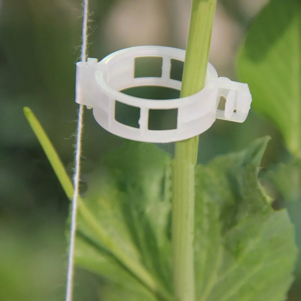 100Pcs Bulk Plant Vine Tomato Pepper Stem Clip Connect to Trellis Twine-Plastic 