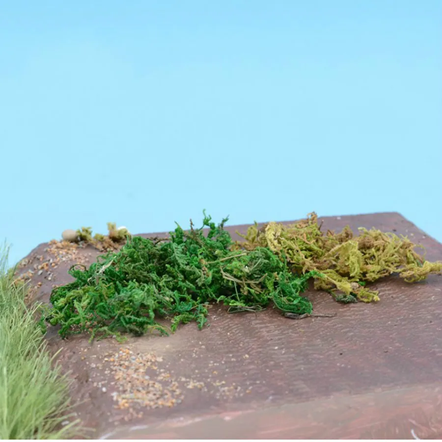 new grass model (12)