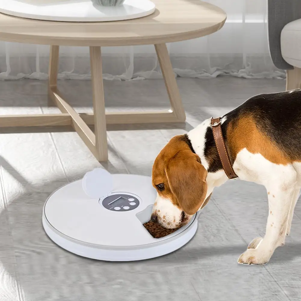 Новое Автоматическое устройство для кормления собак кормушка с таймером 6 еды 6 сетки Электрический контейнер для выдачи Сухого Корма блюдо подача 24 часа таймер товары для домашних животных