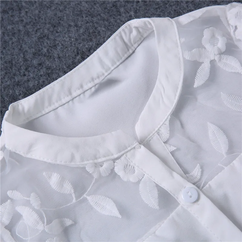 3401161596_613683247