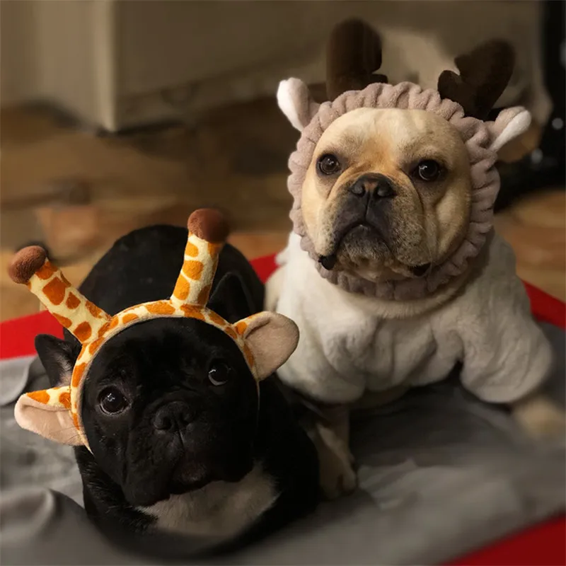 dog hat (15)