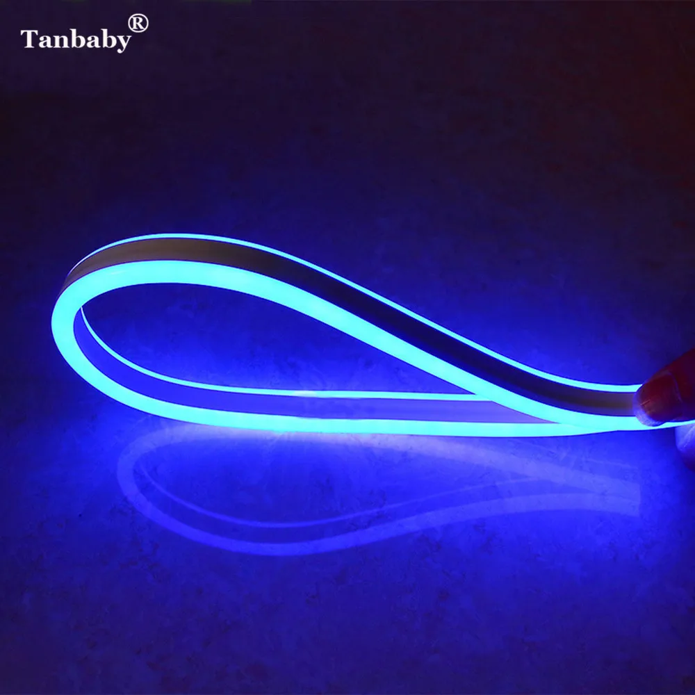 

Tanbaby AC220V 2835 Neon LED Strip Light Flexible String 120led/M Fairy Lighting IP67 Waterproof with EU Plug Outdoor Decoration