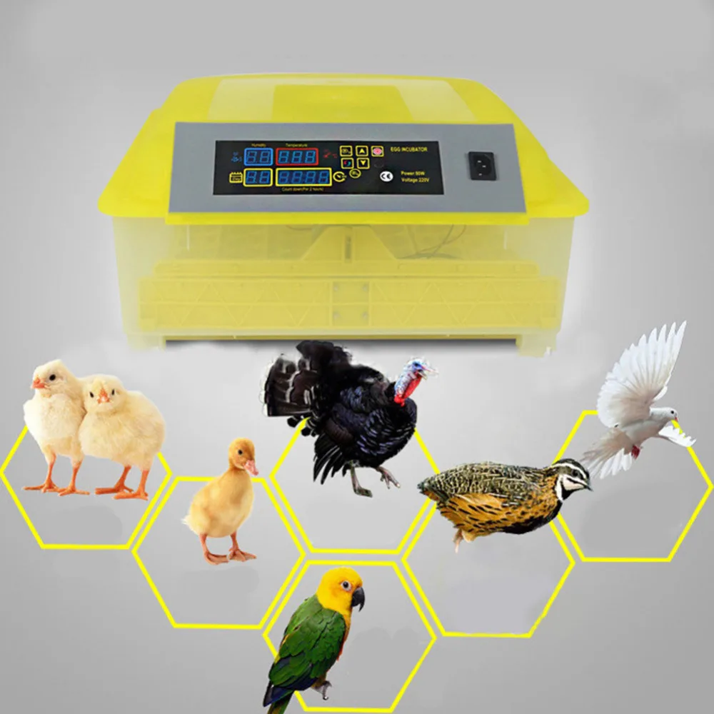 

48 eggs Fully Automatic Clear Egg Turning Incubator panel egg tray 80W Chicken Duck Eggs Hatcher Machine 110V/ 220 EU/US/UK