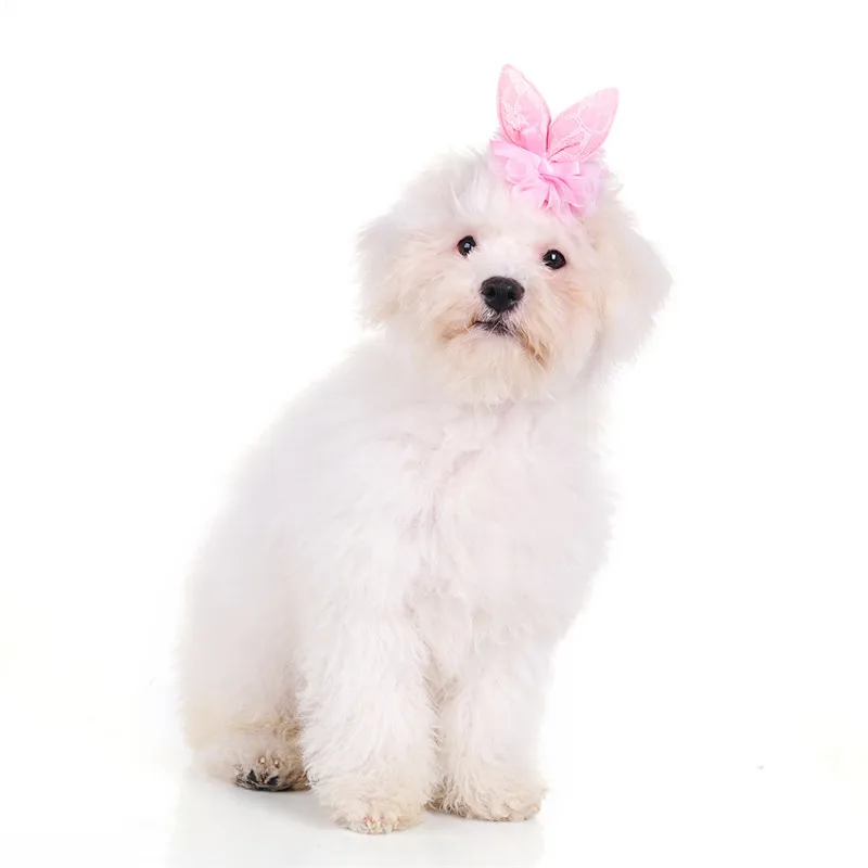 

Pet Hairpin Pink Rabbit Ears + Lace Style Pet Hair Clips Pet Headdress Grooming Accessories 2 Color 1Pcs