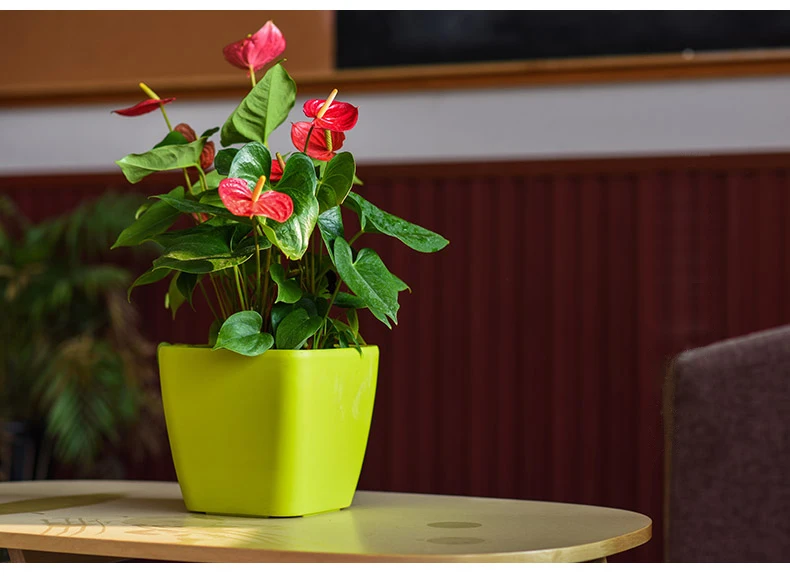 Креативный автоматический водопоглощающий цветочный горшок для рабочего стола, офисное украшение, большой пластиковый ленивый цветочный горшок, Гидропоника