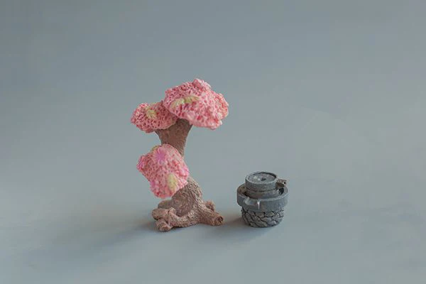 TB2__BmbF_AQeBjSZFyXXb1bXXa_!!2027809428