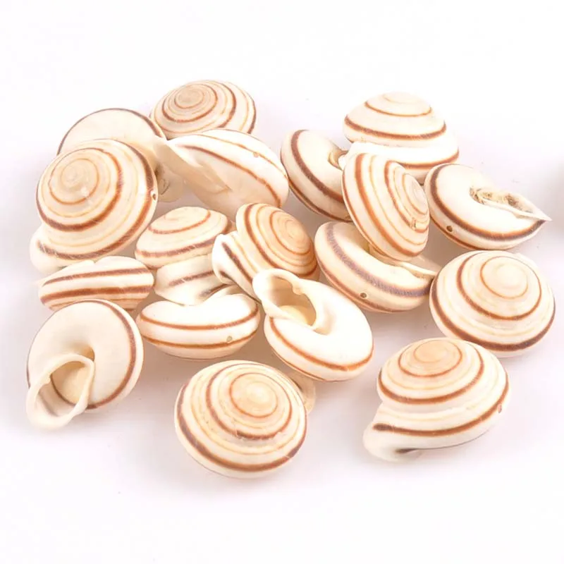 

23-28mm one hole Natural Spiral Shell vortex pattern for DIY handmade Jewelry SeaShells Scrapbook decoration 3pcs TRS0248