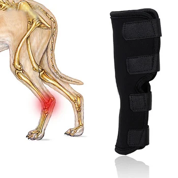 

2018 1PC Dog Knee Support Leg Protector Brace for Hind Leg Hock Joint Wrap Breathable Injury Recover Legs Pet Leg Care New