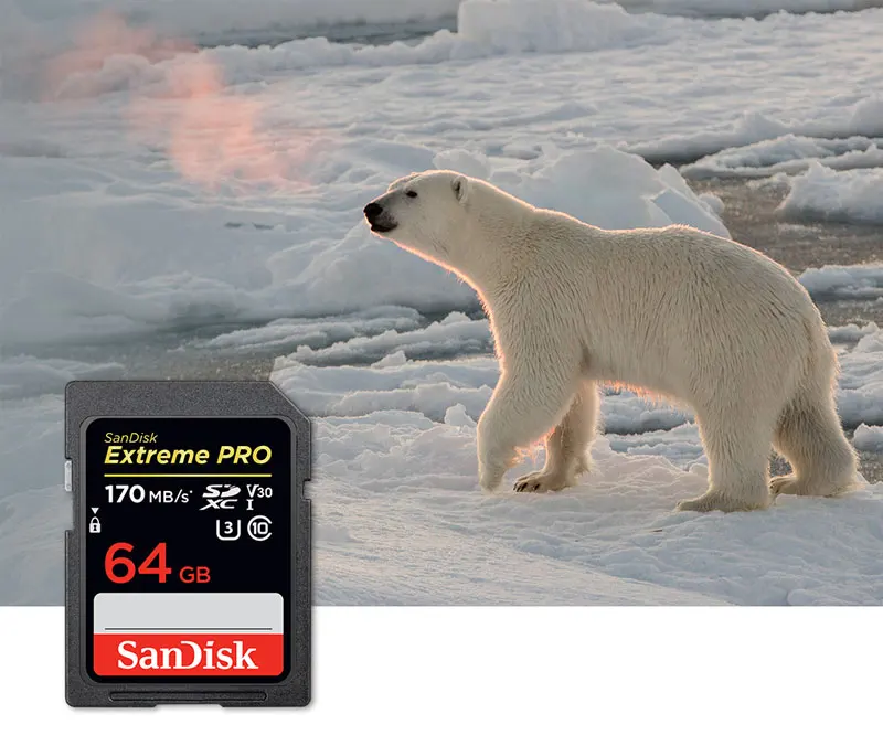 Двойной Флеш-накопитель SanDisk Extreme PRO 64 Гб 128 256 SDXC UHS-I слот для карт памяти U3 Class10 V30 UHS-I 4 K HD видео 170 МБ/с. для Камера/зеркальным фотоаппаратом