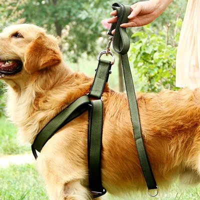 

Pet Cat Dog Harness Chest Strap Adjustable Vest Rope suede Outdoor Sports Lead Leash For Small Large Dogs S M L XL Dropship Ju1