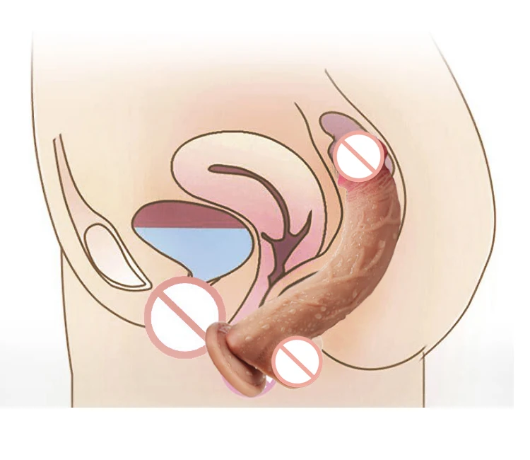 HTB1YMP2MMHqK1RjSZJnq6zNLpXai