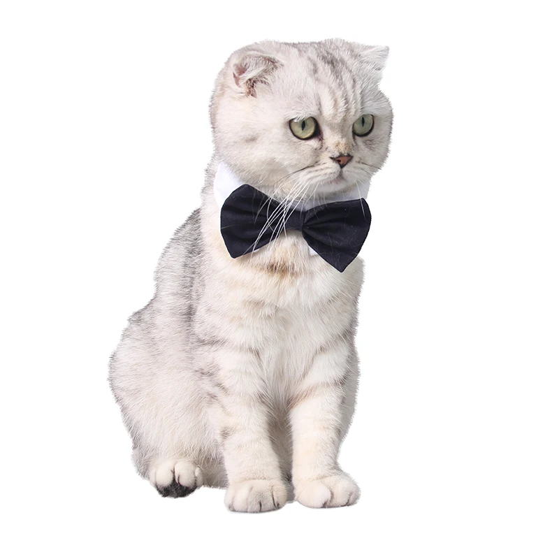 

Adjustable Formal Pet Bowtie Collar Neck Tie for Dogs Cats