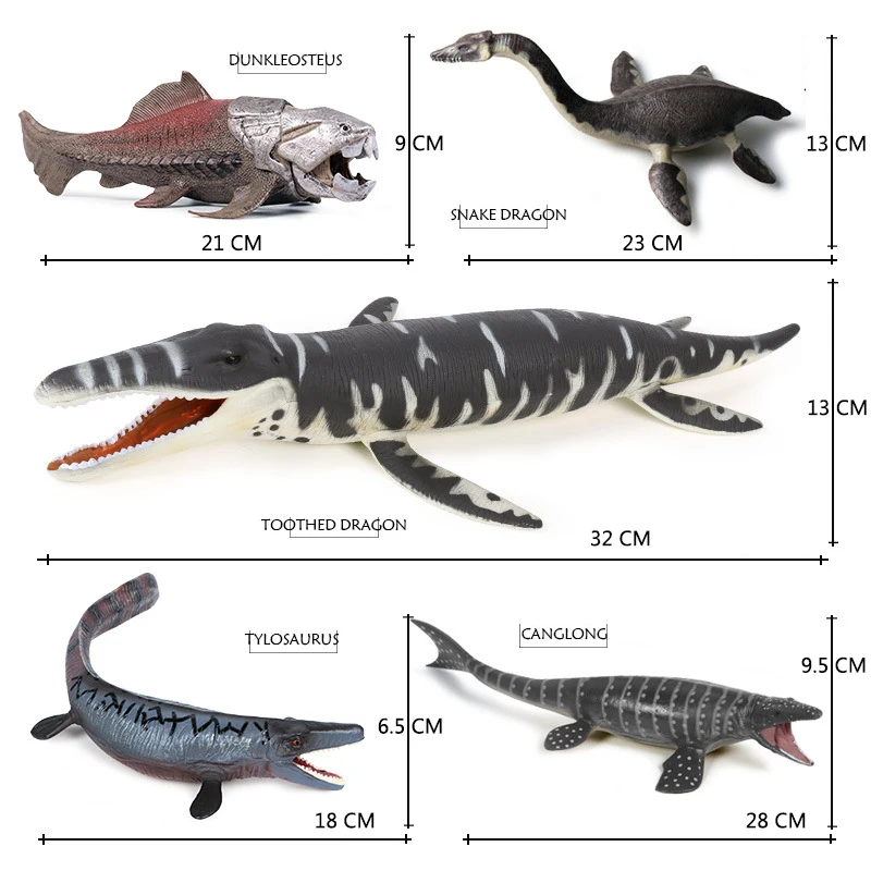 Basilosaurus Vs Megalodon