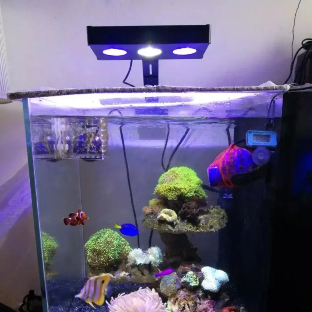 

LED Aquarium Light 30W Indoor Aquarium LED Light Saltwater Lighting with Touch Control for Coral Reef Fish Tank with EU/US Plug