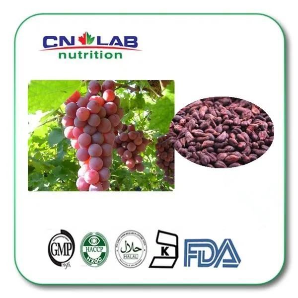 Natural Grape seed extract with 95% OPC,Grape Seed extract powder,grape seed 100% pure fenugreek seed extract methi extract
