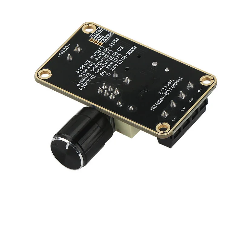 Class D Digital Amplifier Board DIY Speaker Amplifier Stereo Dual Channel Amplifier Module
