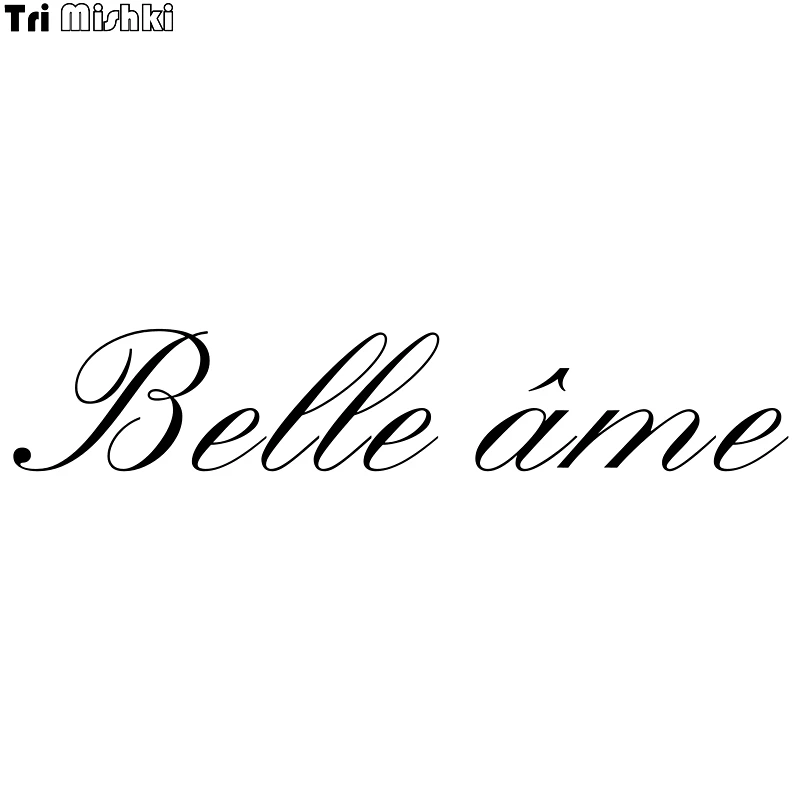 Tri Mishki Hzx469 6*31.9cm 10*53.1cm A Beautiful Soul In French Car