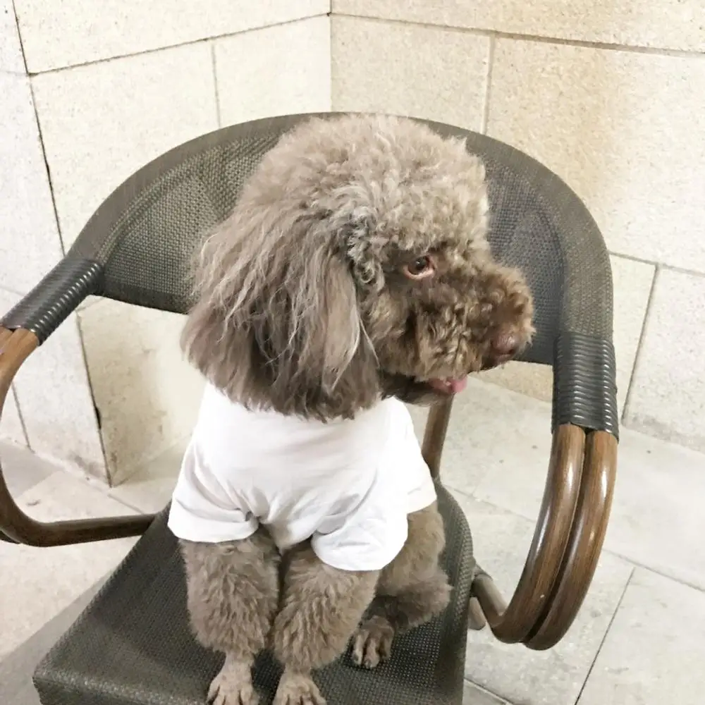 Tide Brand Dog Summer T-shirt Vest for Small Medium Dogs Yorkshire Teddy Pug Parent-Child Outfit Pet Clothes Puppy Costume YBC01