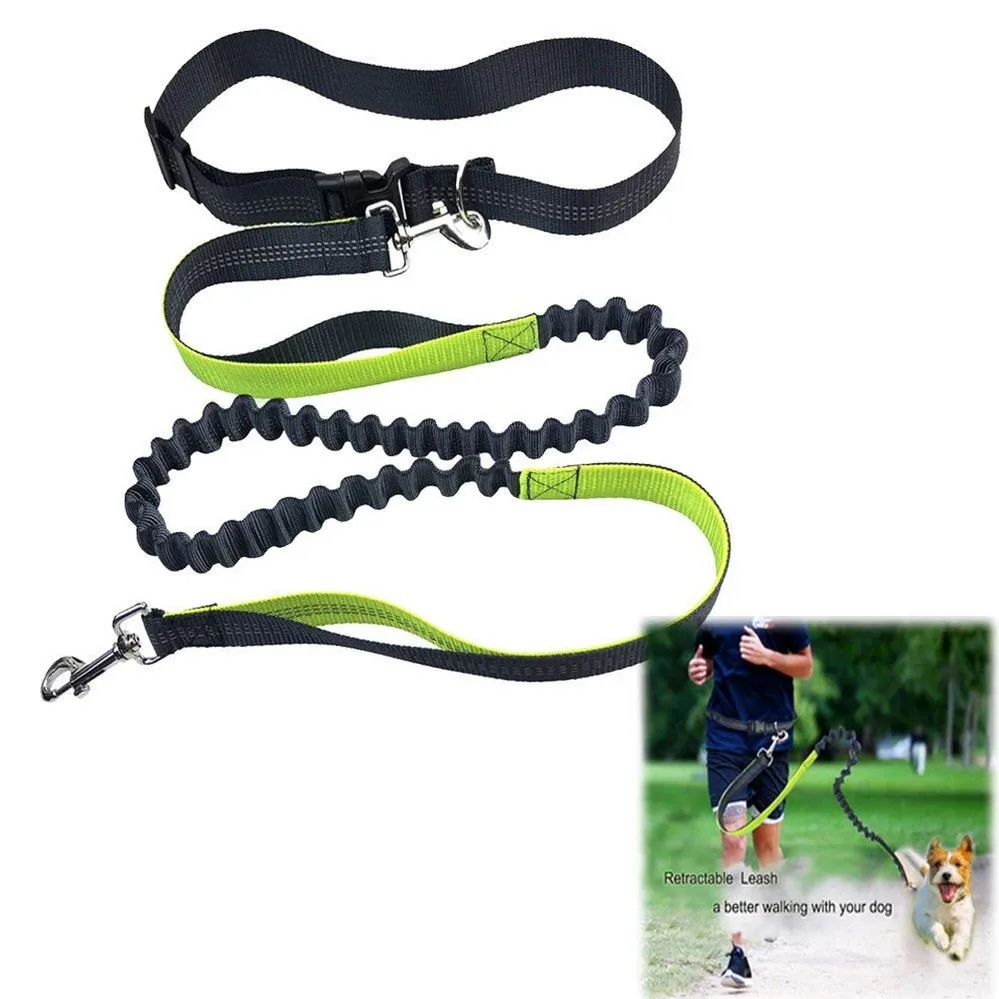 Retractable Hands Free Dog Leash For Running Dual Handle Bungee Leash