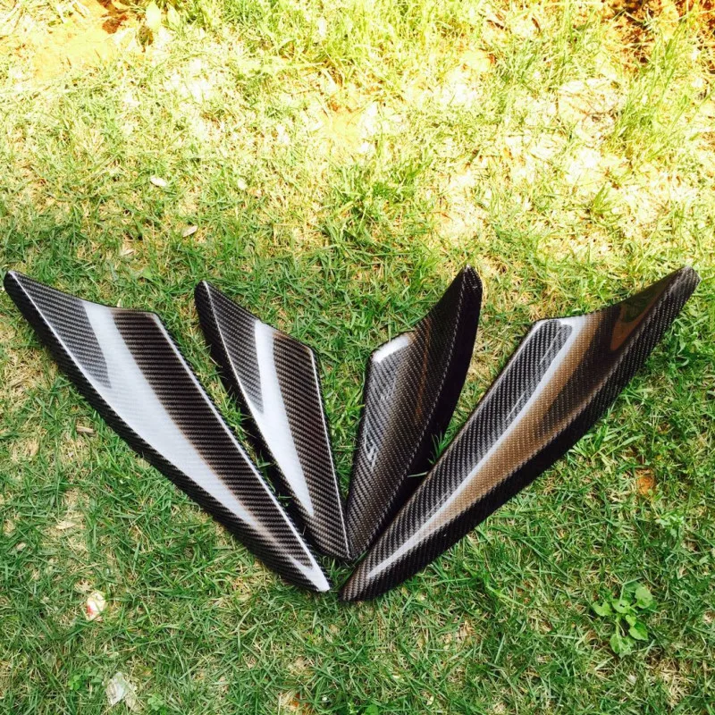 EVO10canard (4)_