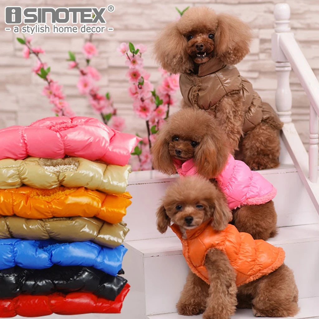 Yoriki мандарин. Одежда для собак. Одежда для собак отзывы. Одежда для собак отзывы. Одежда для собак отзывы.