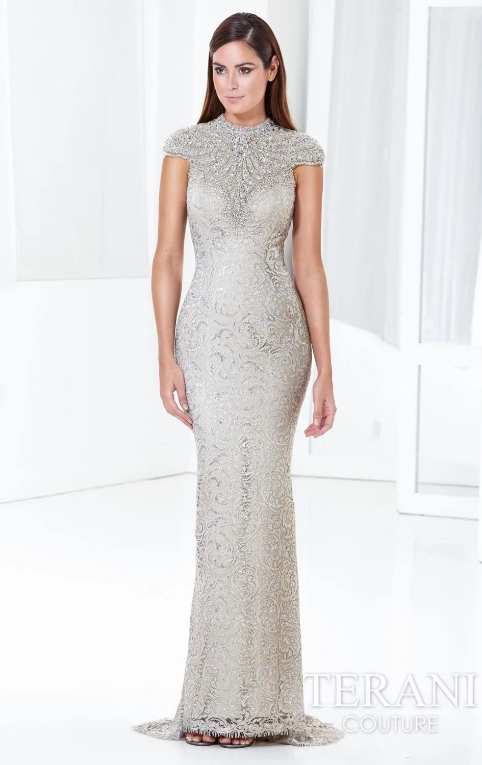 Elegant Silver Dresses