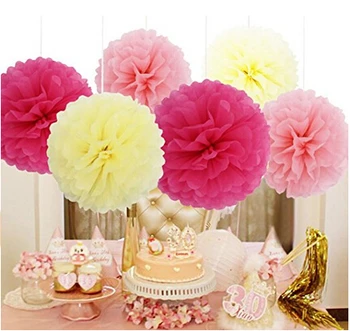 

15 Pieces 10 inch Tissue Paper Pom Poms Flower Balls Assorted Colors For Wedding Party Outdoor Decorations, Pink, Cream, Rose Re