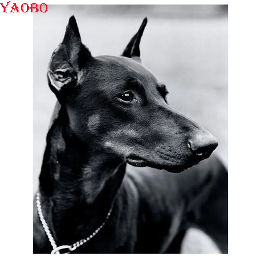 Алмазная 5D вышивка Doberman Pinscher картина с квадратными и круглыми стразами сделай