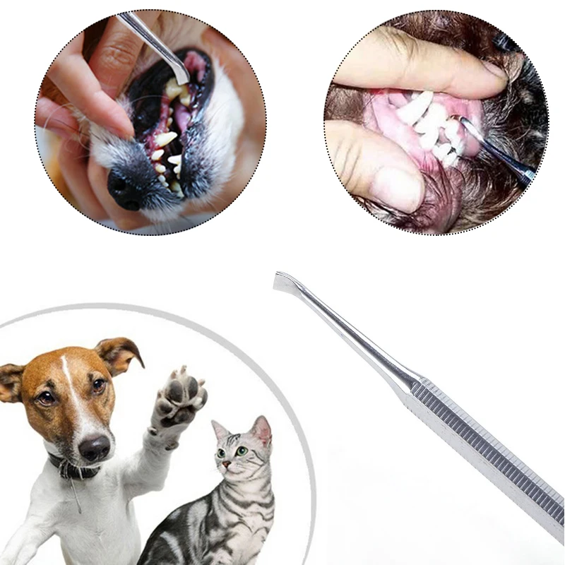 Pet Dog Double Head Tartar Calculus Remover Scraper Dental Scaler Tooth
