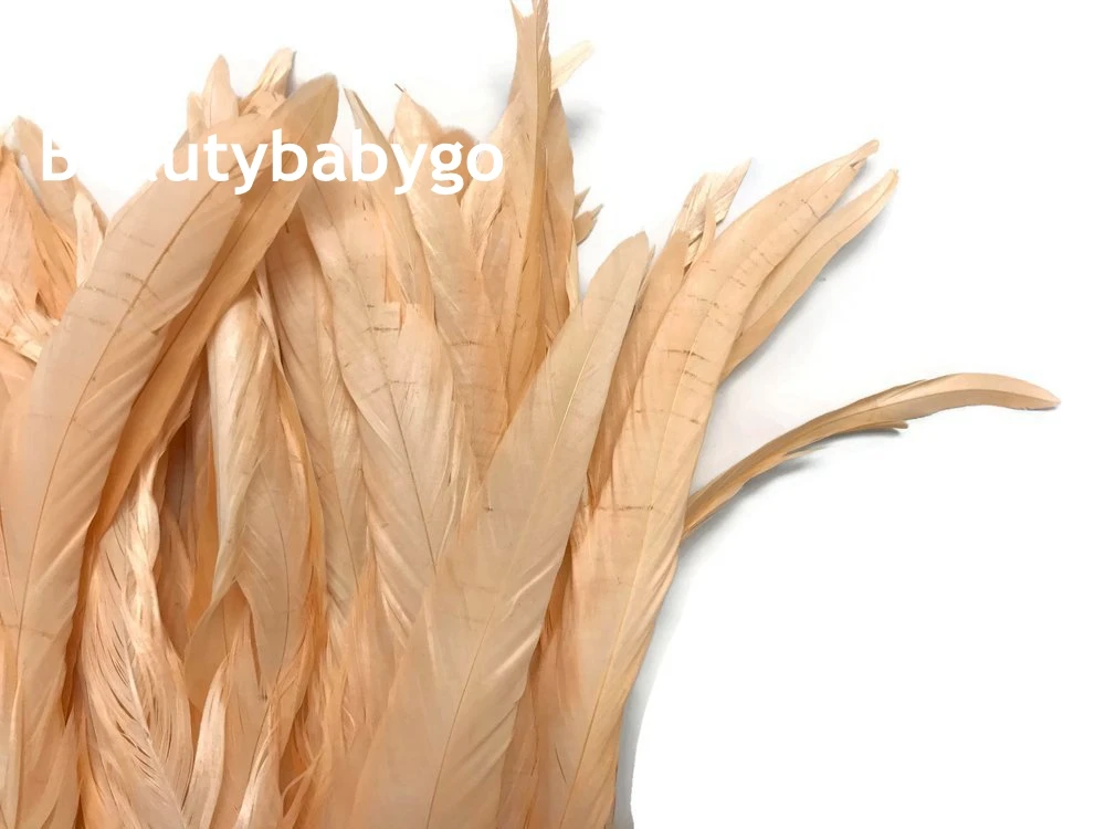 612Gvyq67KL._SL1000__