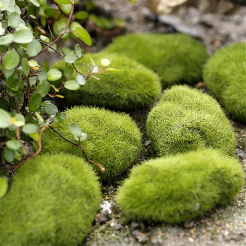Green Artificial Moss Stones Grass Plant Poted Home Garden Decor Landscape J10in Stones from