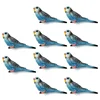 10Pcs Blue Parrot