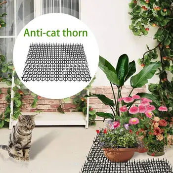 

Home Gardening Decoration Environmental Protection Plastic Anti-cat Stinger Dog And Bird Mosquito Repellent Pad Plastic Nail