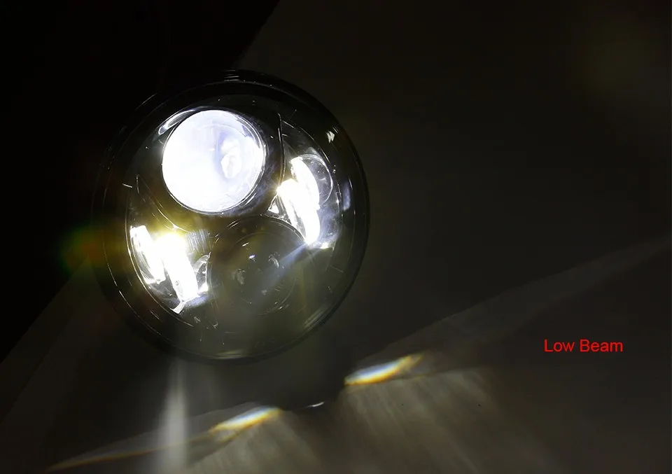 L1