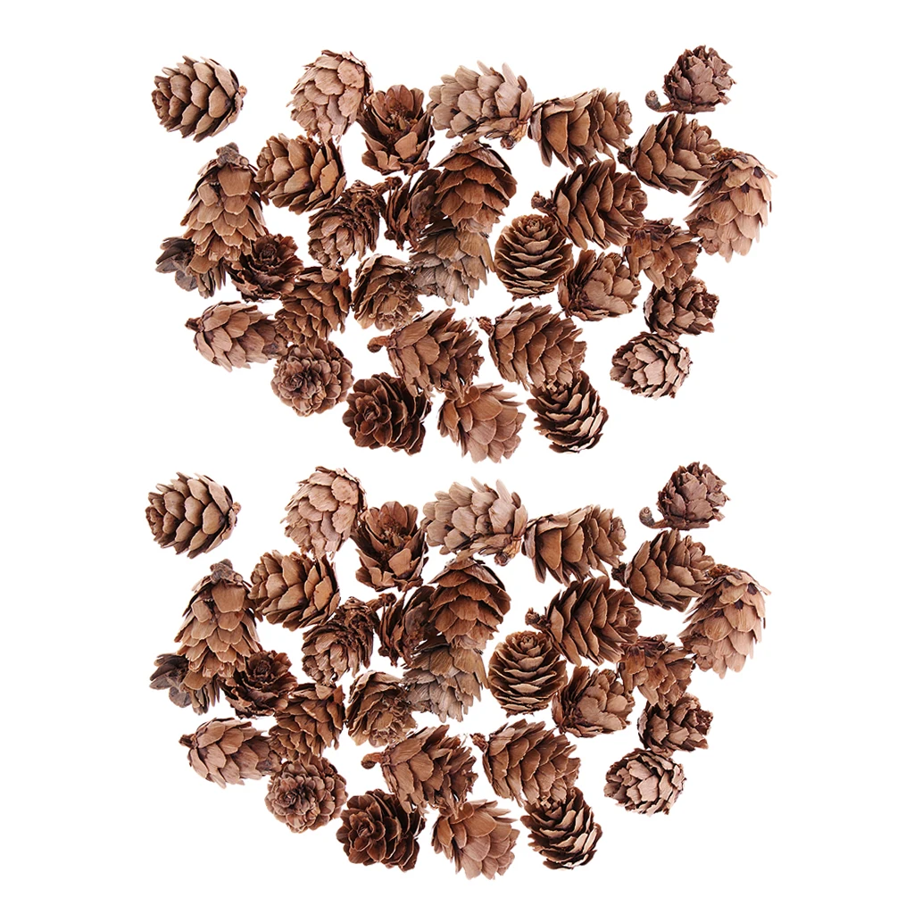 60 Pieces Mini Natural Rustic Dried Pine Cones In Bulk For Christmas Party Ornament DIY Decoration