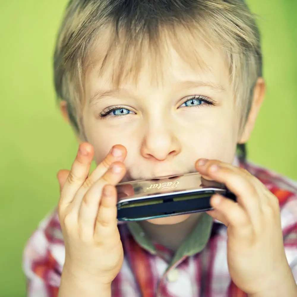 Eastar Major Blues Harmonica Diatonic C Key Harp Mouth Organ 10 отверстий Джаз рок Woodwind музыкальный