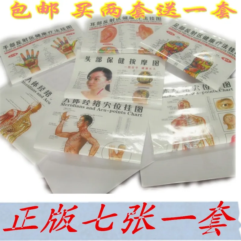 Acupuncture wall chart Meridians Acu points Chinese English Ear Foot