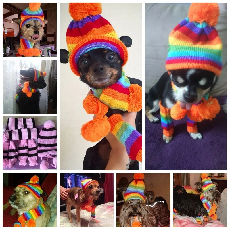 Winter Accessory Set For Dog - Knitted Hat, Scarf, And 4 Socks